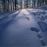 yddwallpaperwinter2009