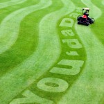 you da dad grass