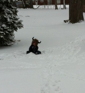 jed in snow